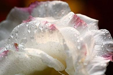 像素风小清新ADV《东京故事》上架steam 年内发售